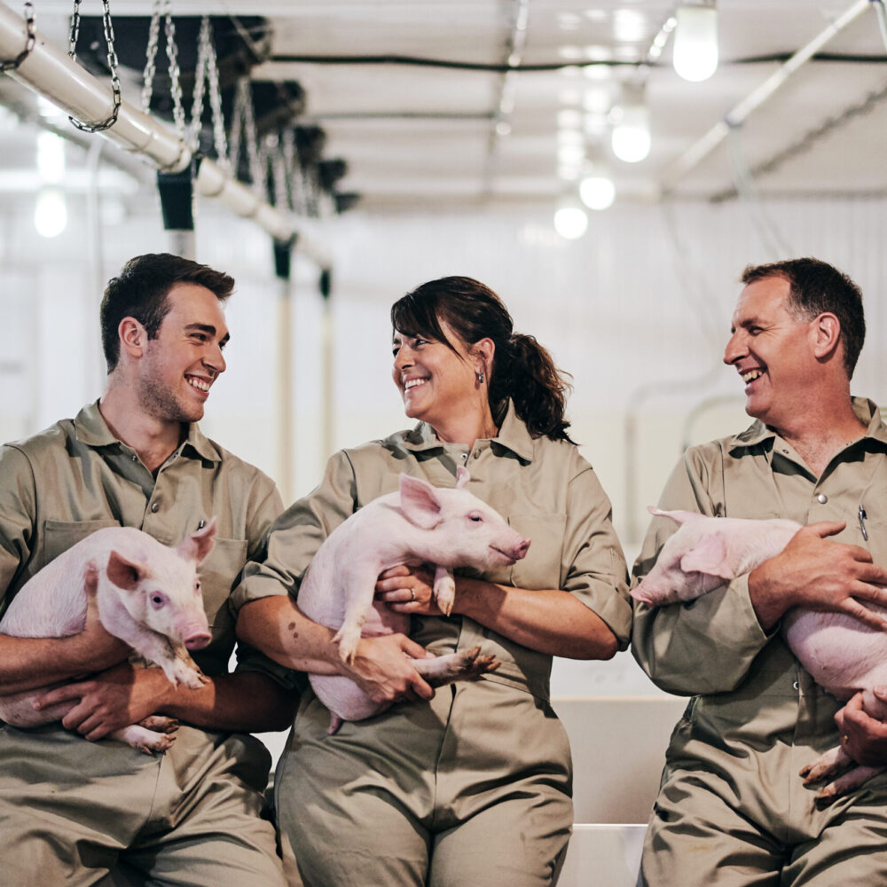 Famille Côté et porcelets